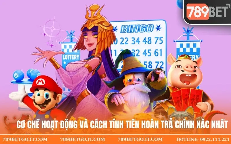 Cơ chế hoạt động và cách tính tiền hoàn trả chính xác nhất