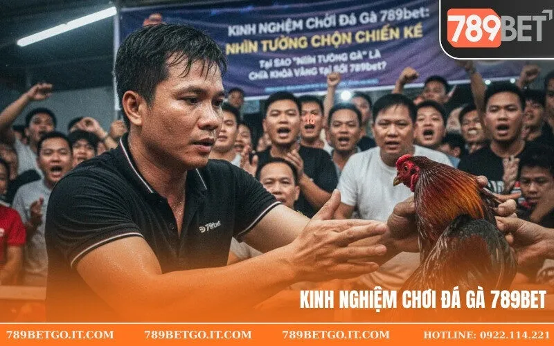 Kinh Nghiệm Chơi Đá Gà 789bet