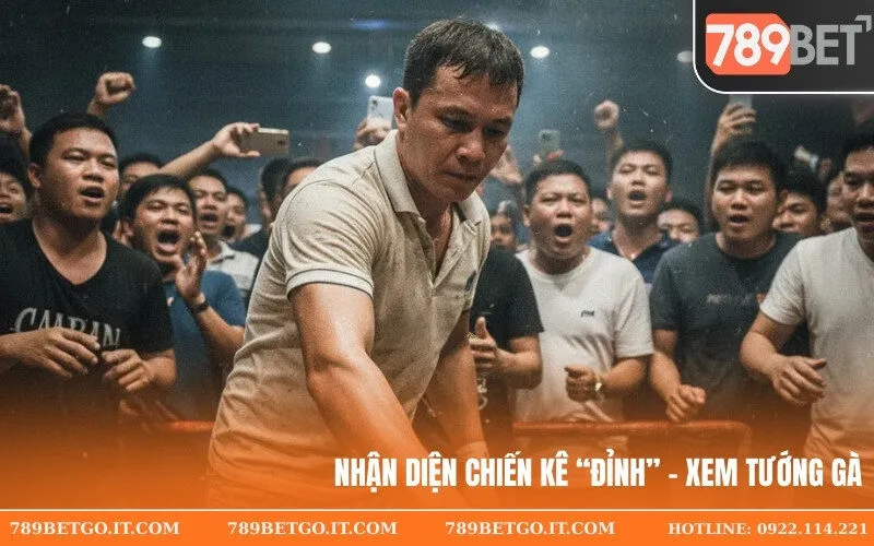 Nhận diện chiến kê “đỉnh” – Xem tướng gà