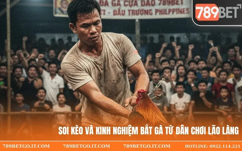 Soi Kèo và Kinh Nghiệm Bắt Gà Từ Dân Chơi Lão Làng