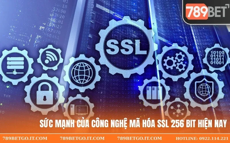 Sức mạnh của công nghệ mã hóa SSL 256 Bit hiện nay